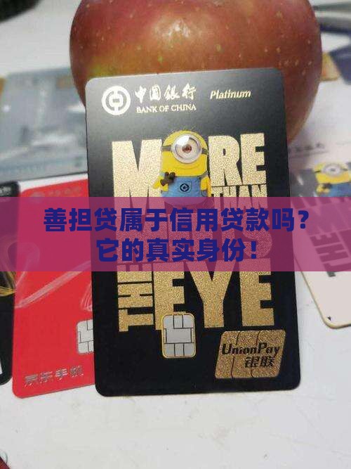 善担贷属于信用贷款吗