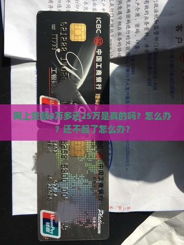 网上贷款6万多还25万
