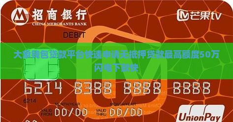 大象钱包贷款平台