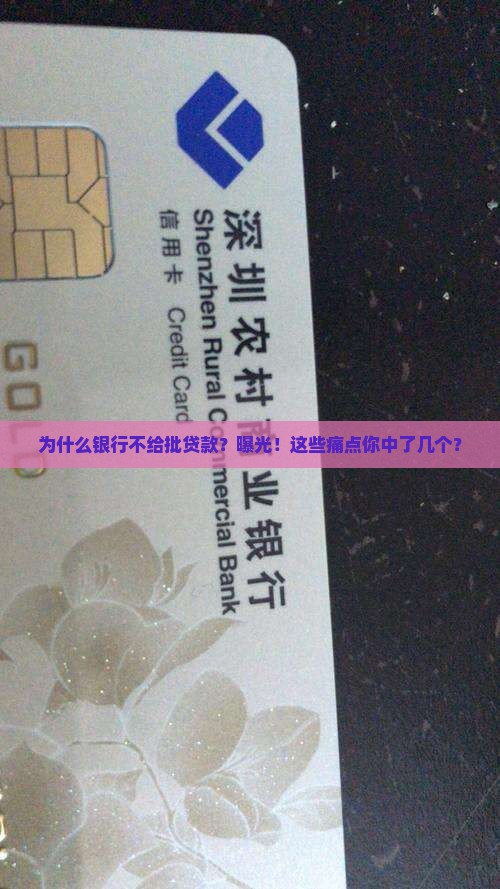 为什么银行不给批贷款
