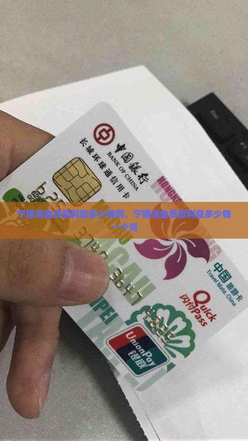 宁银消金贷款利息多少钱