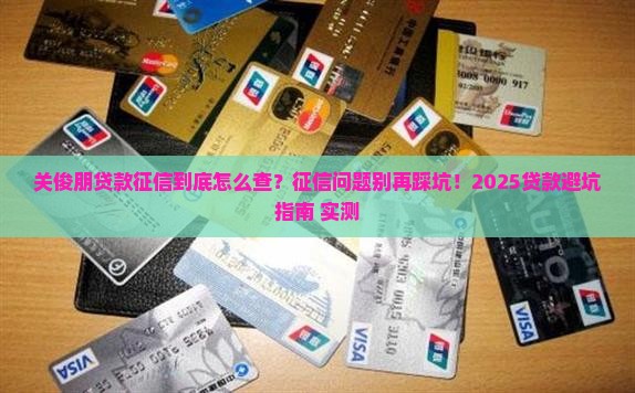 关俊朋贷款征信