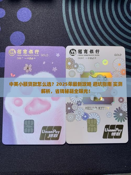 中英普惠小额贷款