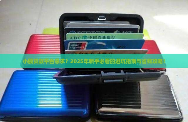 小额贷款平台急求