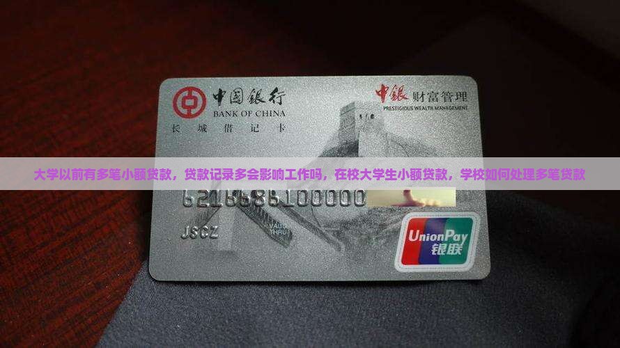 大学以前有多笔小额贷款