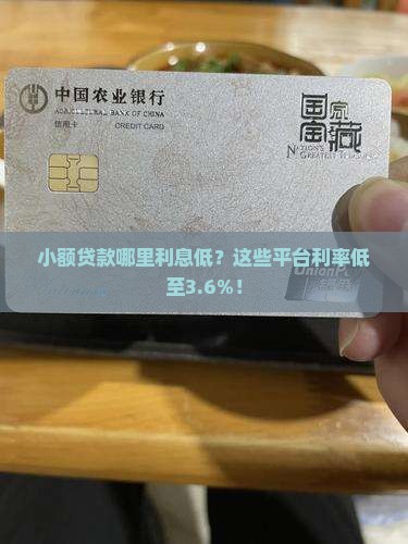 小额贷款哪里利息低 小额贷款哪里利息低