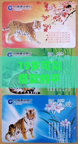 19岁什么平台能贷款