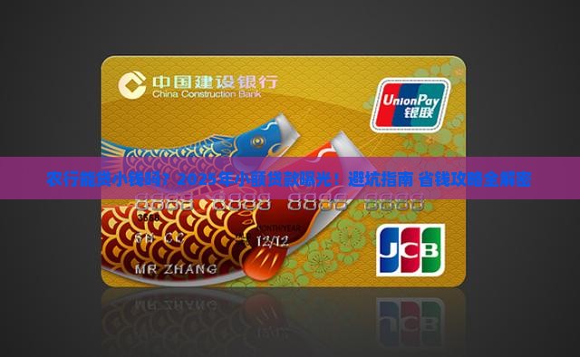 农业银行能不能小额贷款