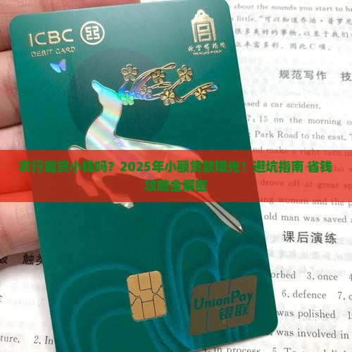 农业银行能不能小额贷款