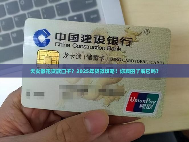 天女散花贷款口子