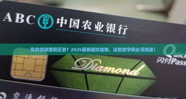 影豹贷款提前还款