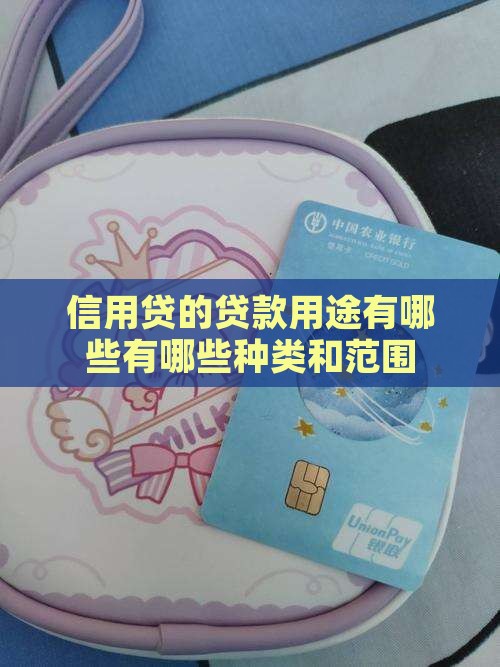 信用贷的贷款用途有哪些