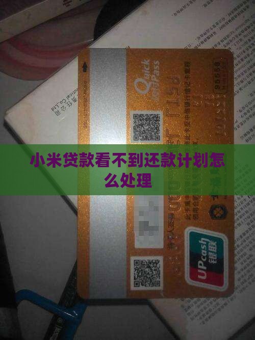 小米贷款看不到还款计划