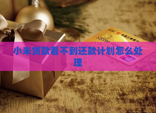 小米贷款看不到还款计划