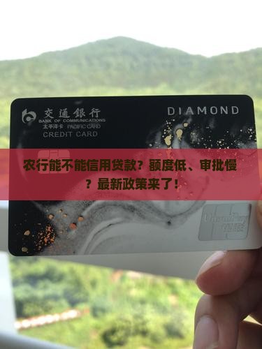 农行能不能信用贷款