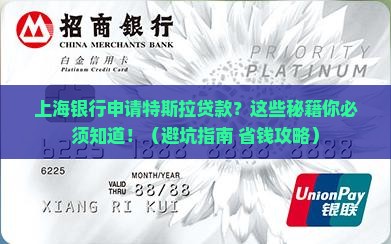 上海银行申请特斯拉贷款