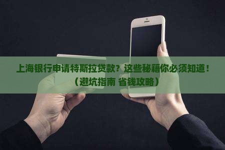 上海银行申请特斯拉贷款