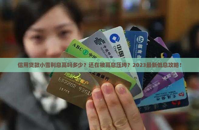 信用贷款小雪利息高吗多少