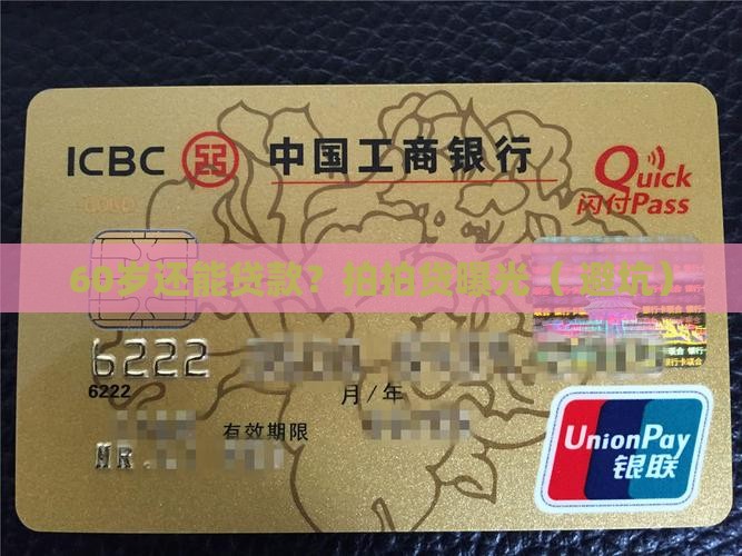 拍拍贷60岁贷款