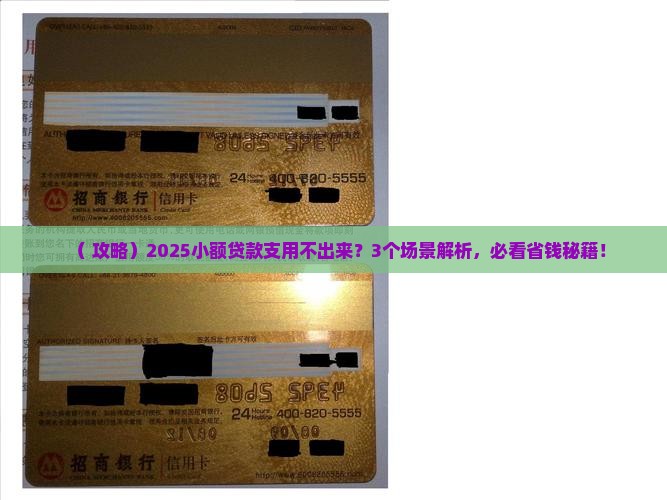 小额贷款支用不出来