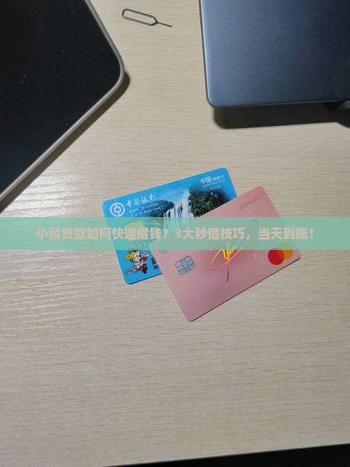 小额贷款如何快速借钱