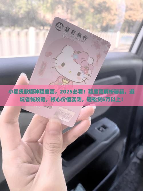 小额贷款哪种额度高