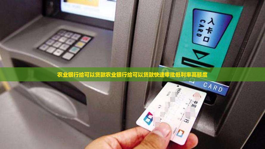 农业银行给可以贷款
