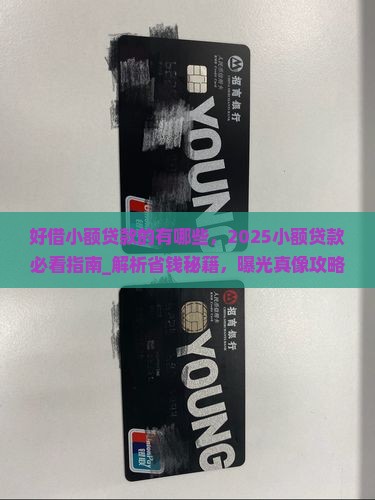 好借小额贷款的有哪些