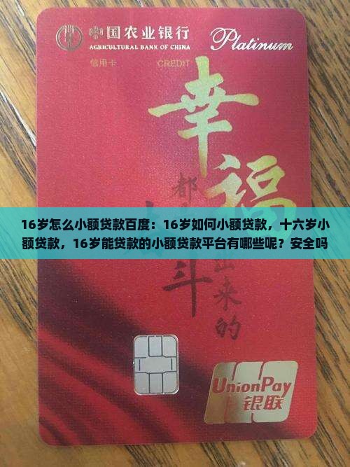 16岁怎么小额贷款百度