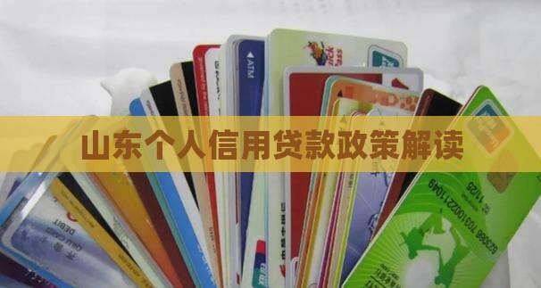 山东个人信用贷款政策