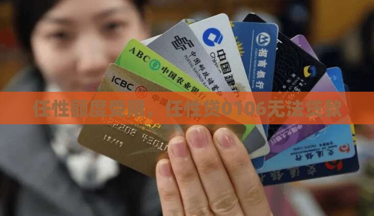 任性贷0106无法贷款