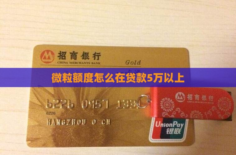 微粒贷怎么贷款5万以上