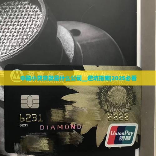 中融小贷贷款是什么公司