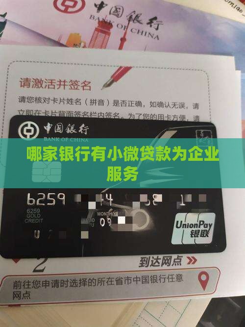 哪家银行有小微贷款