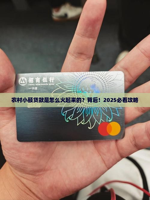 农村小额贷款怎么产生的