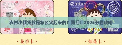 农村小额贷款怎么产生的