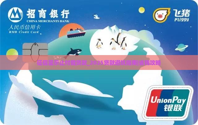 征信显示止付能贷款