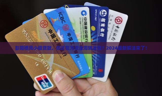 彭阳栖凤小额贷款