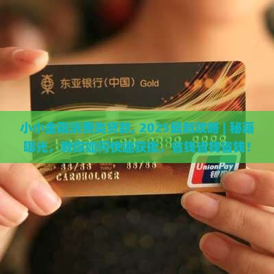 小小金融消费类贷款