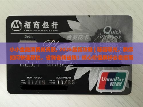 小小金融消费类贷款