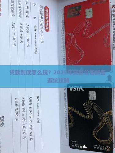 做贷款系统的公司