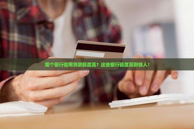 哪个银行信用贷款额度高
