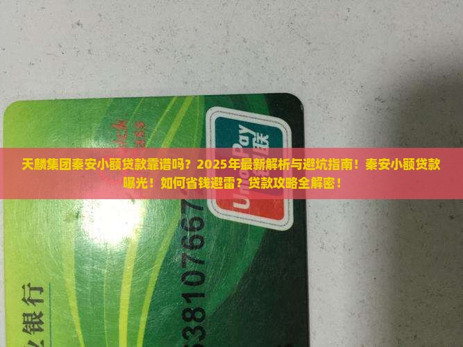 天麟集团秦安小额贷款