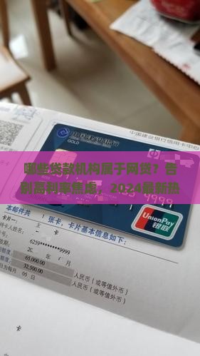 哪些贷款机构是属于网贷