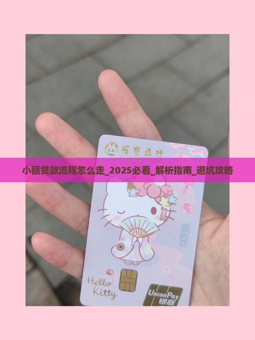 小额贷款流程怎么走