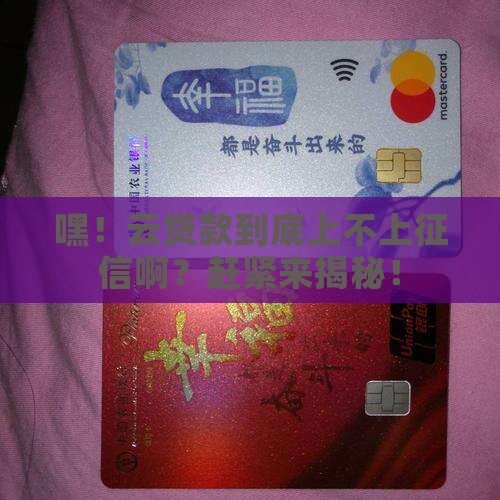 云贷款上征信吗