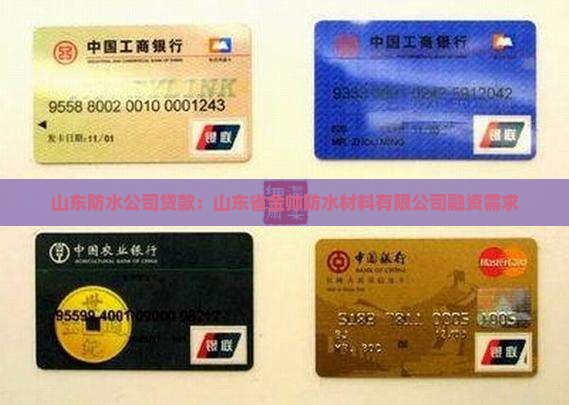 山东金双防水公司贷款