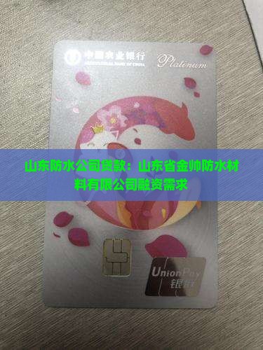 山东金双防水公司贷款