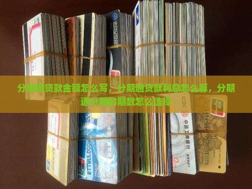 分期通贷款金额怎么写