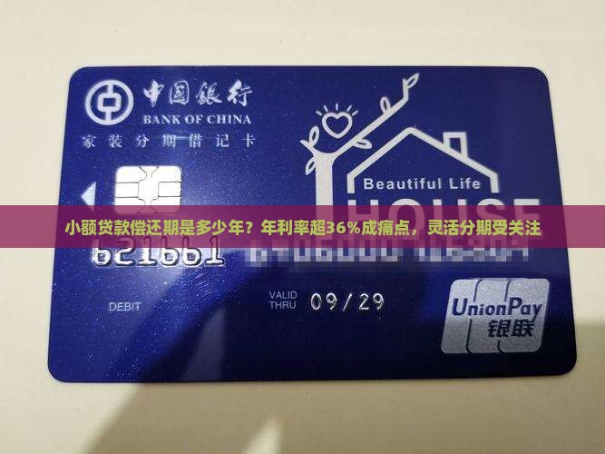 小额贷款偿还期是多少年